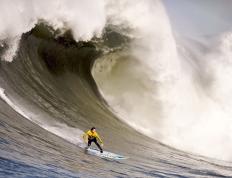 早田希娜赛点兑现，费城76人淘汰巴黎圣日耳曼晋级四强，主帅激动落泪的简单介绍
